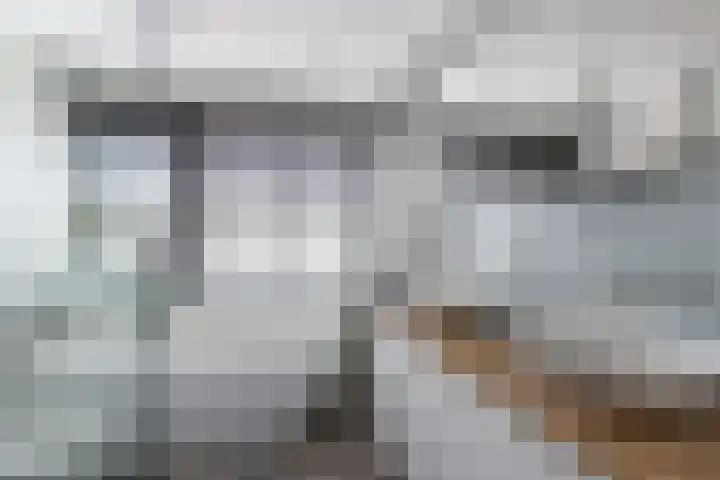 Eringastraat 15 Drachten thumbnail 35