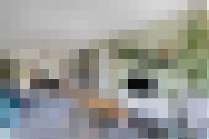 Eringastraat 15 Drachten thumbnail 7