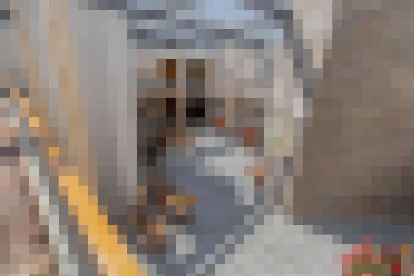 Eringastraat 64 Drachten thumbnail 33