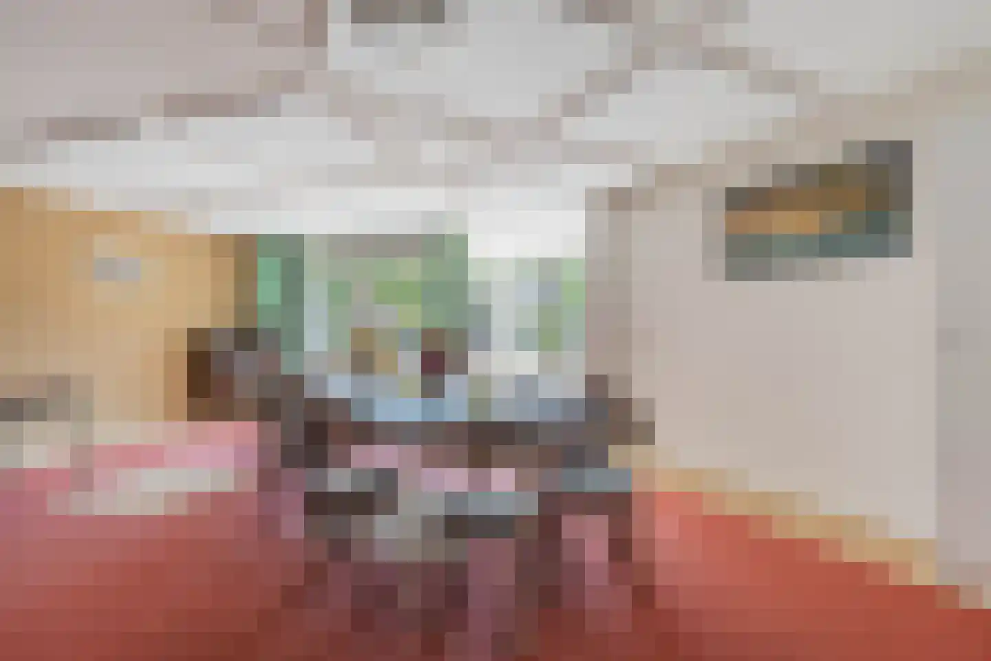 Eringastraat 64 Drachten thumbnail 36