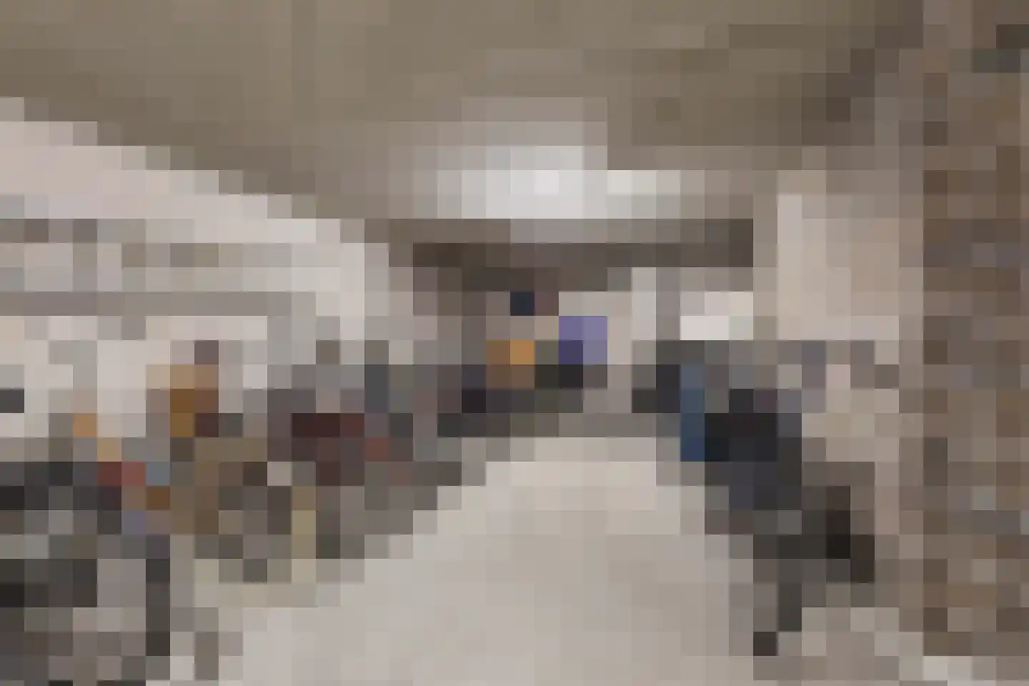 Eringastraat 64 Drachten thumbnail 37