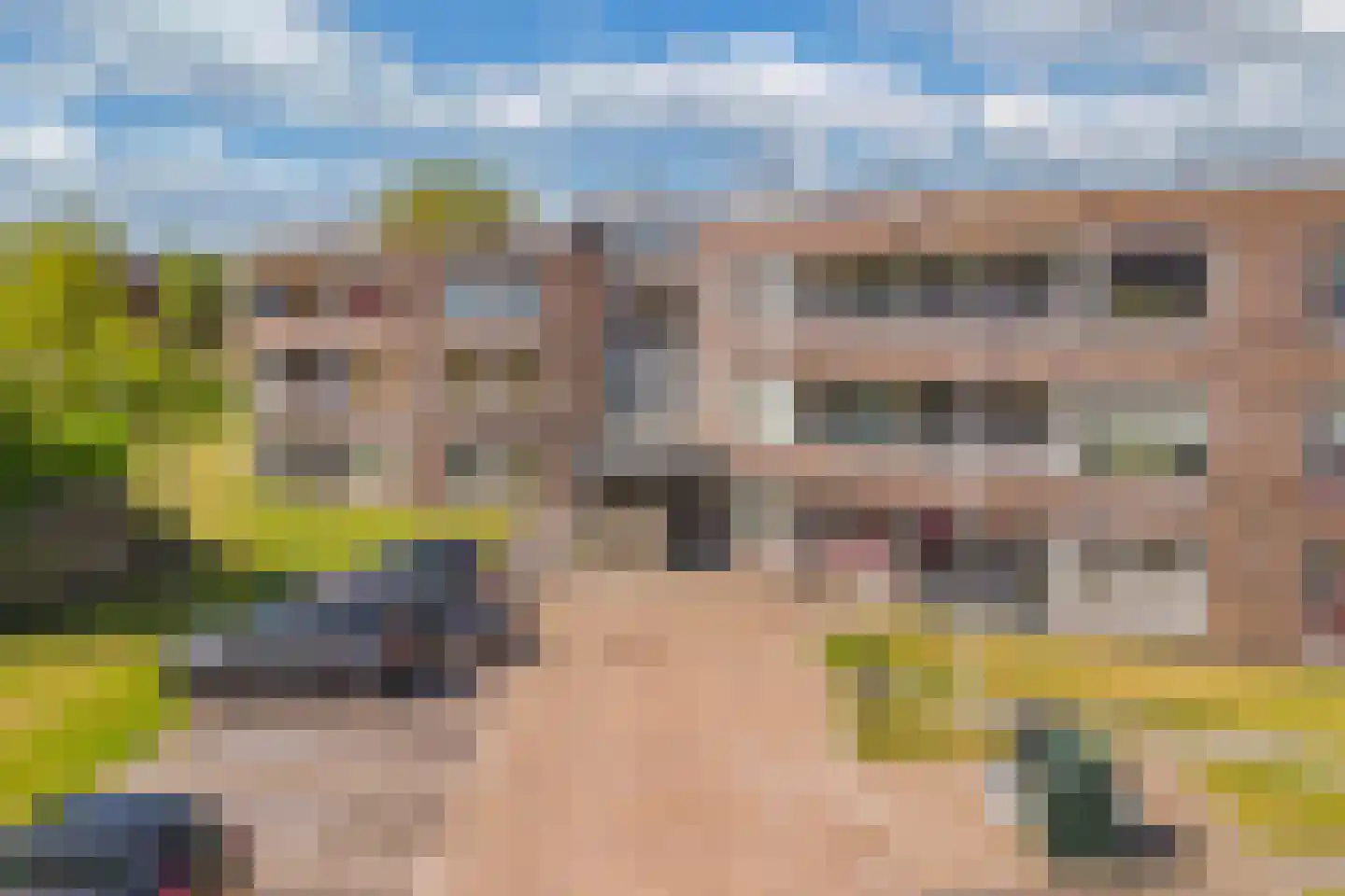 Eringastraat 64 Drachten thumbnail 38
