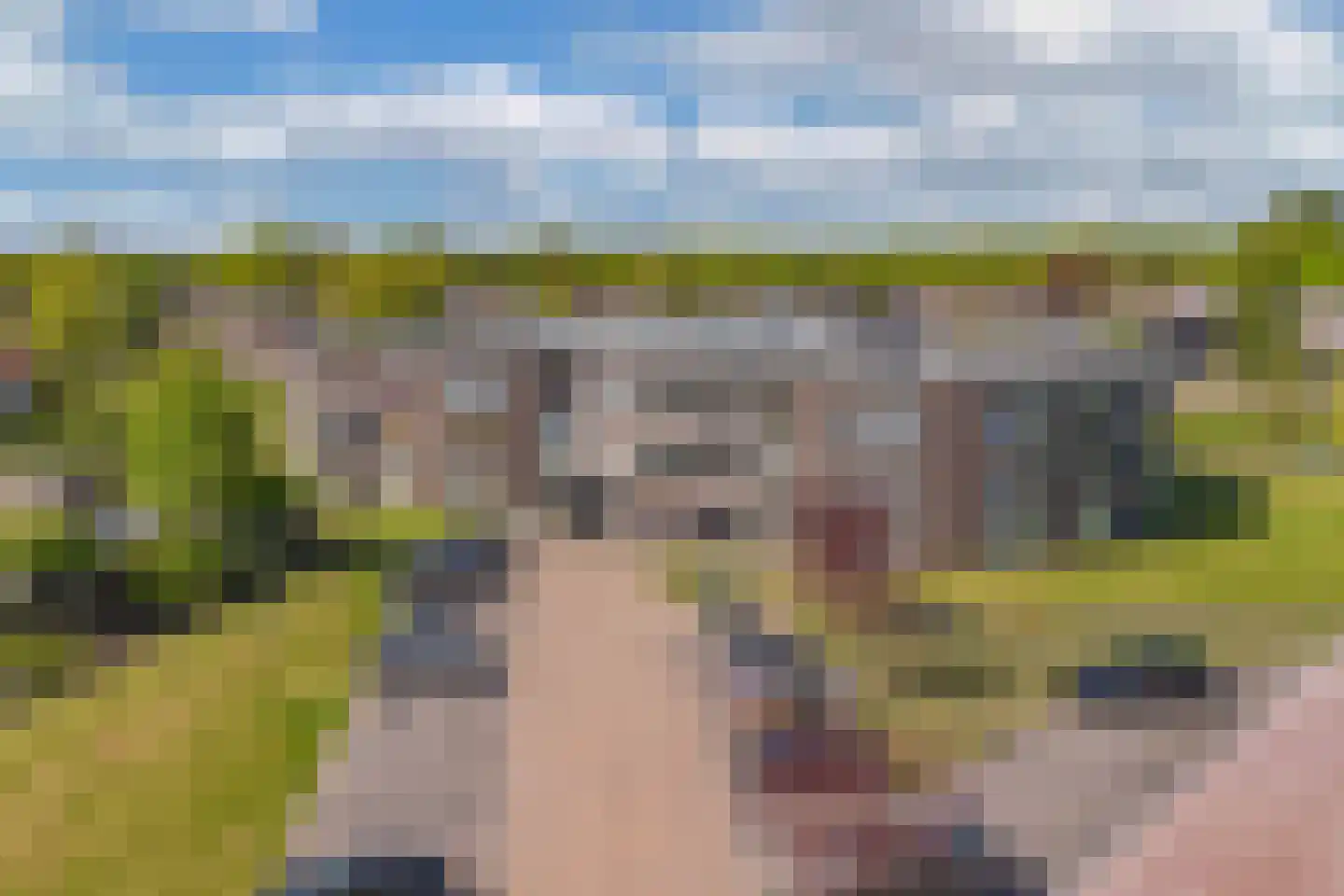 Eringastraat 64 Drachten thumbnail 4