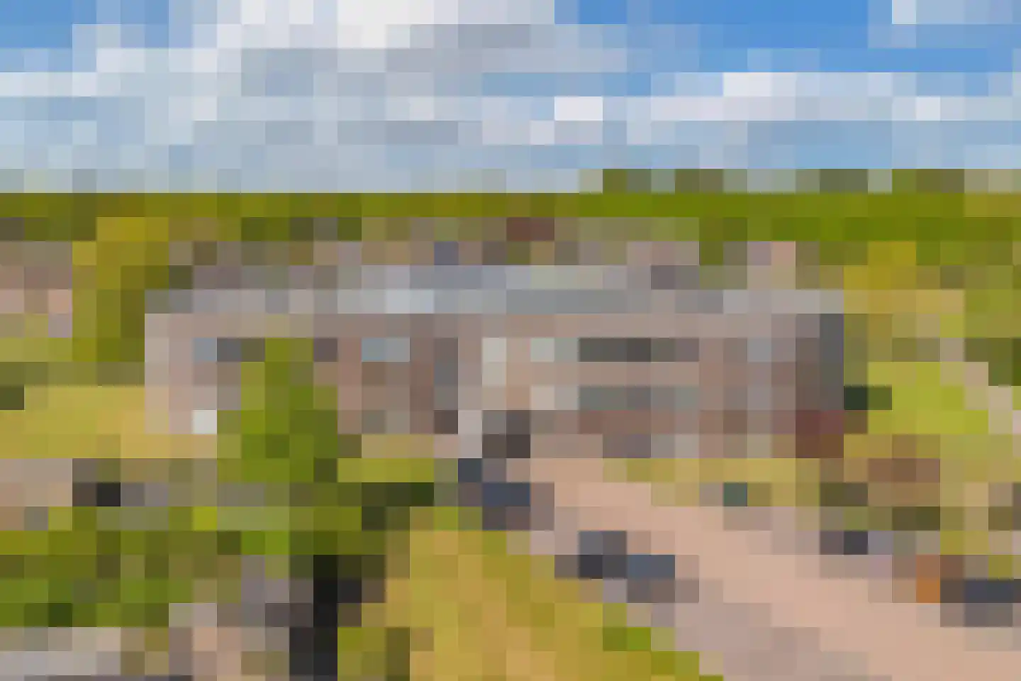Eringastraat 64 Drachten thumbnail 40