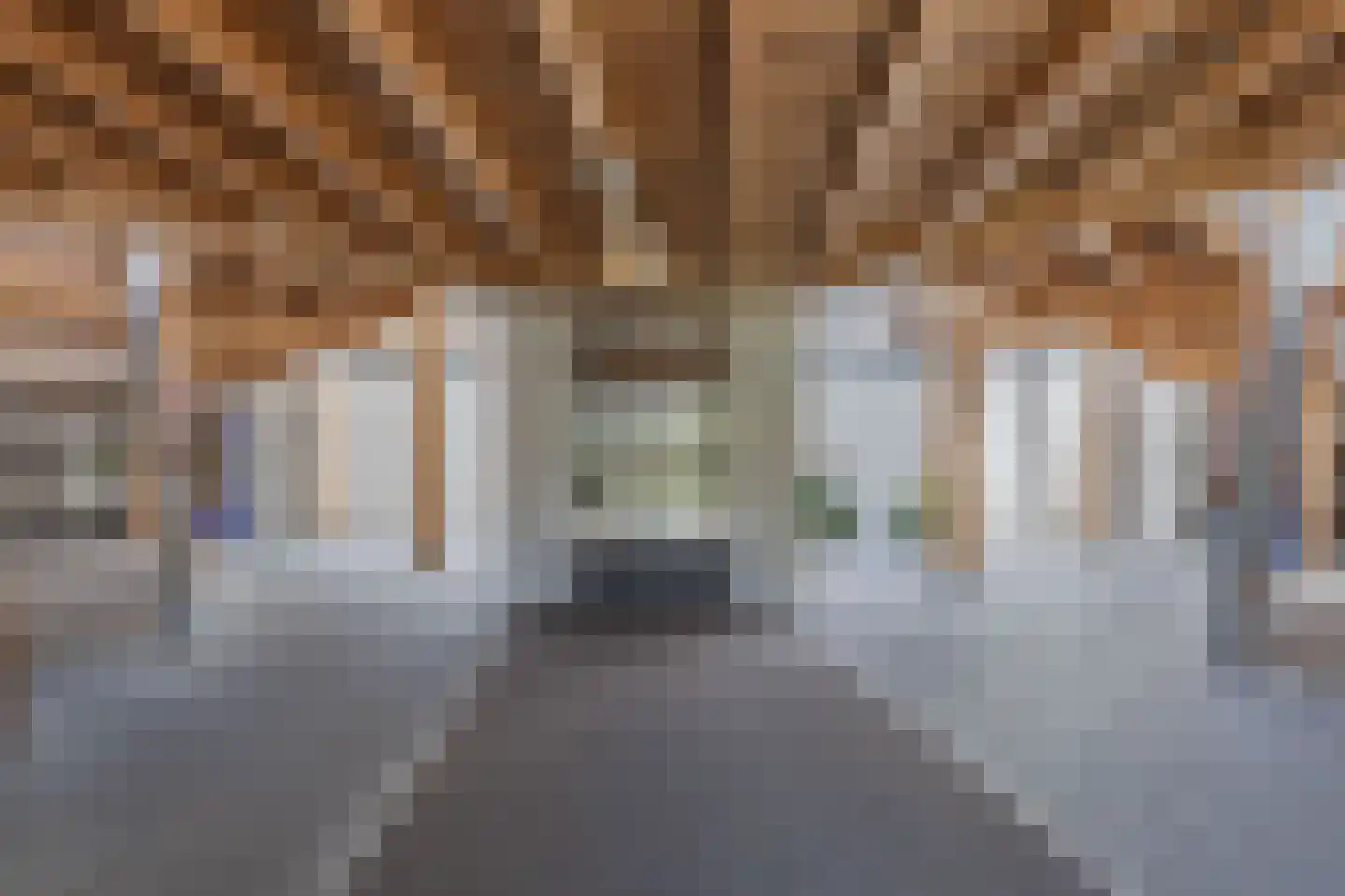 Eringastraat 64 Drachten thumbnail 6