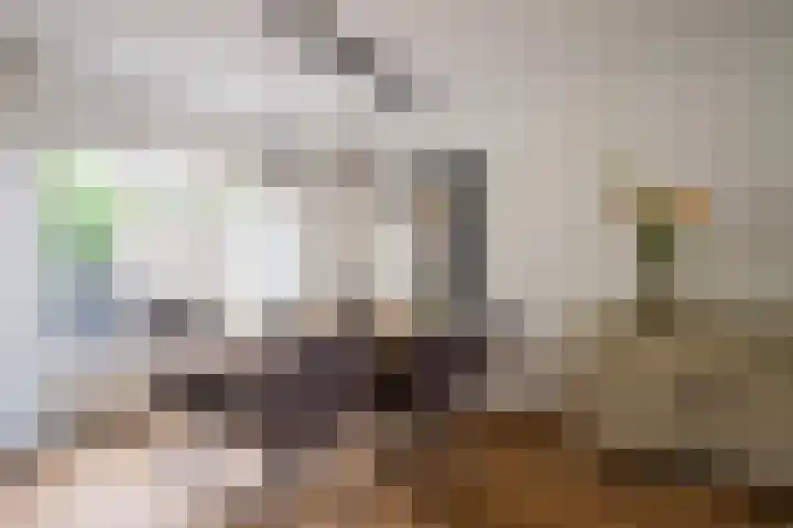 Erkenkamp 46 Tegelen thumbnail 15