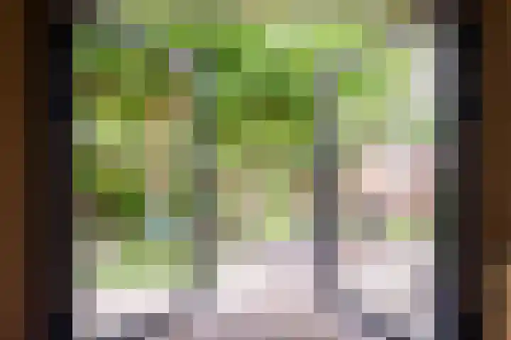 Erkenkamp 46 Tegelen thumbnail 33