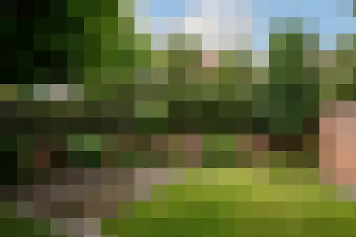 Erkenkamp 46 Tegelen thumbnail 52