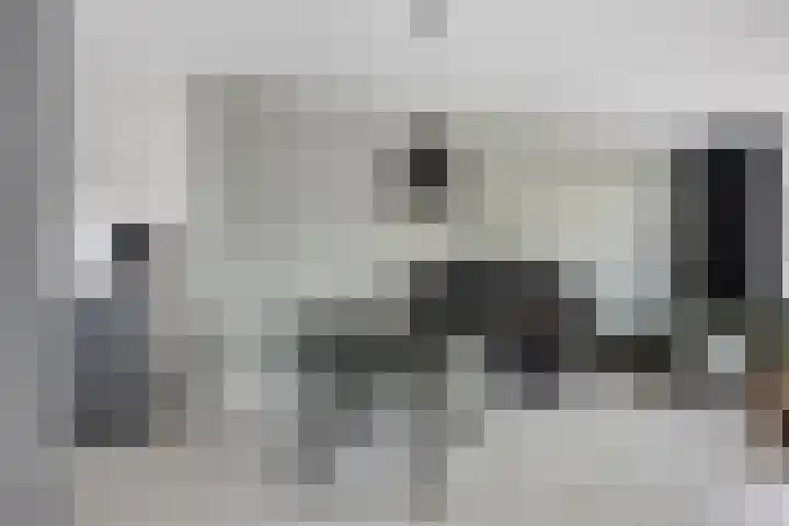 Erkensakker 12 Ochten thumbnail 19