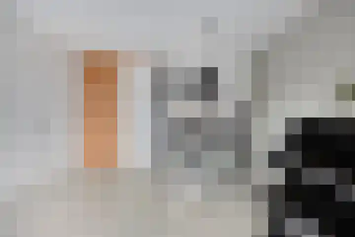 Erkensakker 12 Ochten thumbnail 20