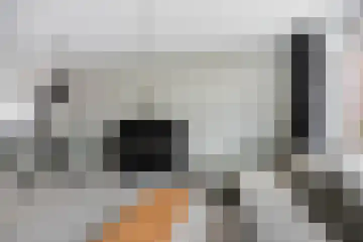 Erkensakker 12 Ochten thumbnail 24