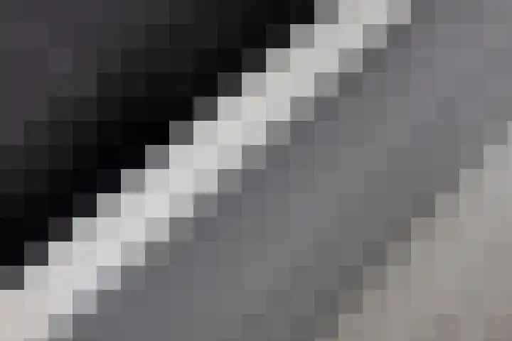 Erkensakker 12 Ochten thumbnail 30