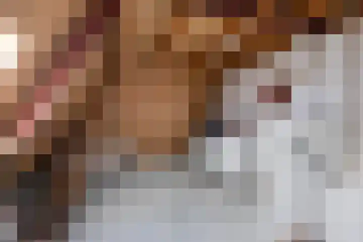 Erkensakker 12 Ochten thumbnail 47