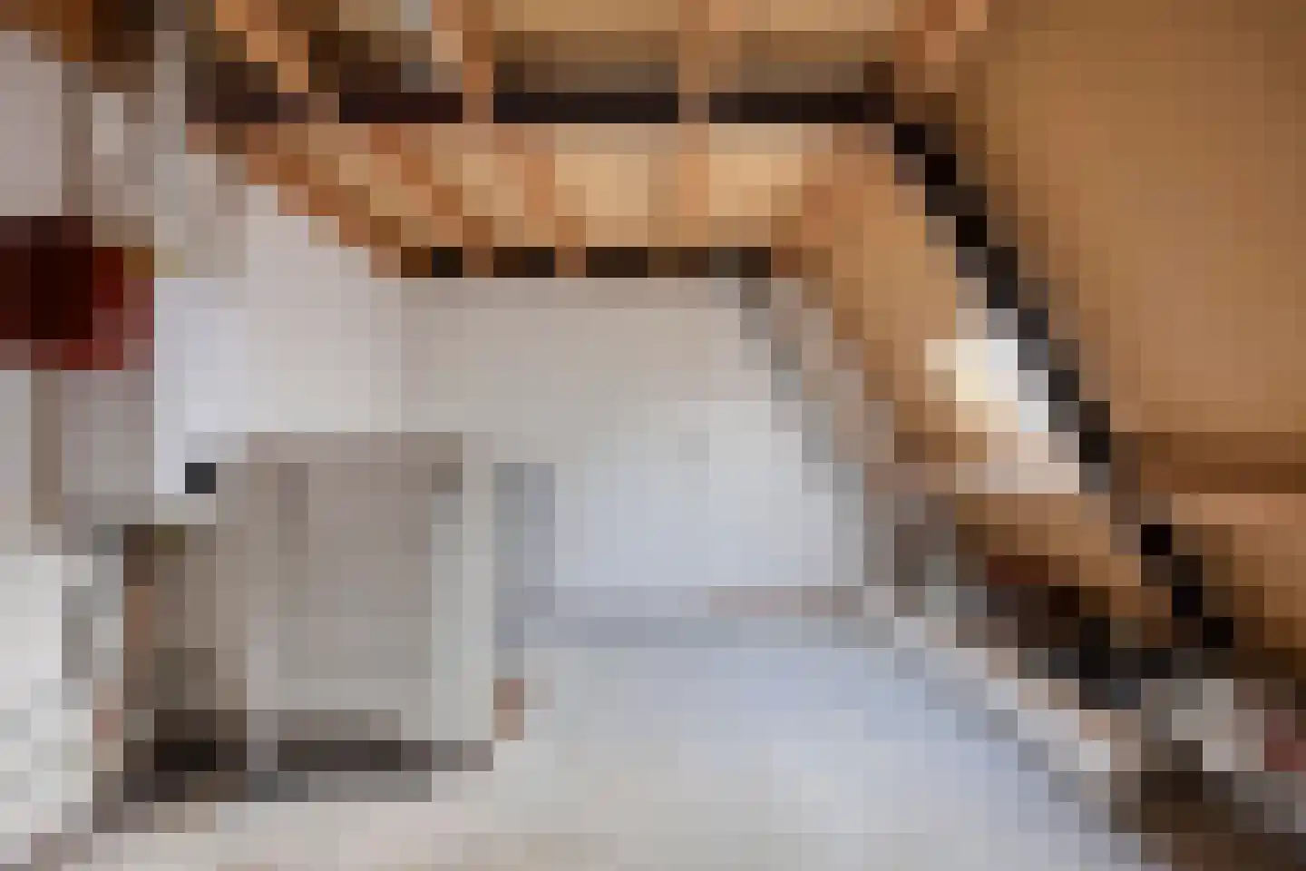 Erkensakker 12 Ochten thumbnail 48