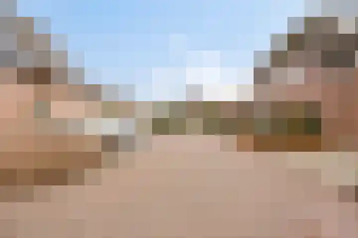 Erkensakker 12 Ochten thumbnail 6