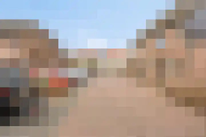 Erkensakker 12 Ochten thumbnail 9