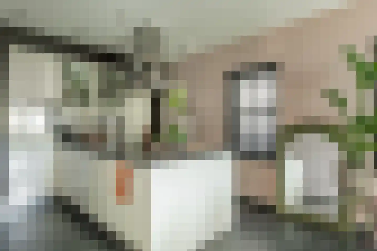 Erkstraat 136 A Heerlen thumbnail 22