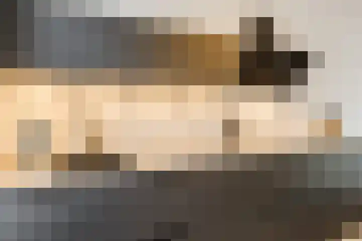 Ermelindishof 5 Berkel-Enschot thumbnail 11