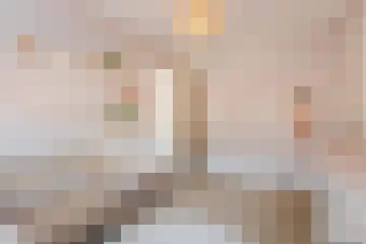 Ermelindishof 5 Berkel-Enschot thumbnail 19