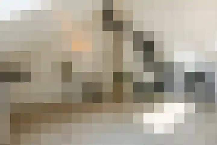 Ermelindishof 5 Berkel-Enschot thumbnail 25