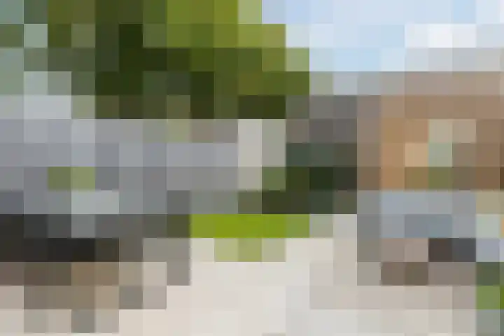 Ermelindishof 5 Berkel-Enschot thumbnail 29