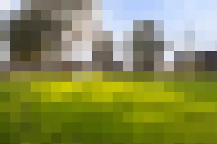Ermeline 20 Kollum foto 2