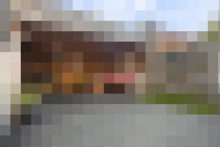 Ermeline 20 Kollum thumbnail 23