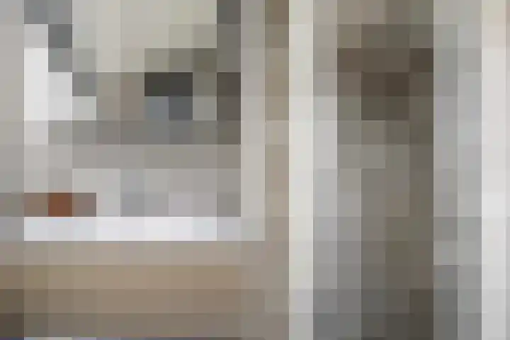 Ermeline 20 Kollum thumbnail 37
