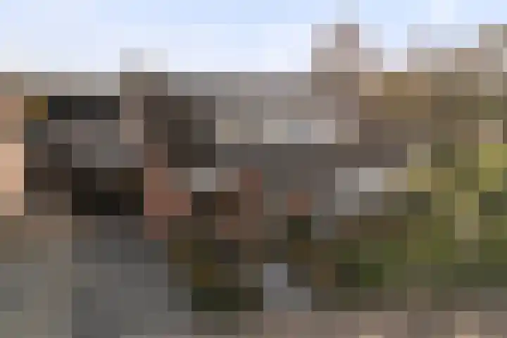 Ermeline 20 Kollum thumbnail 40