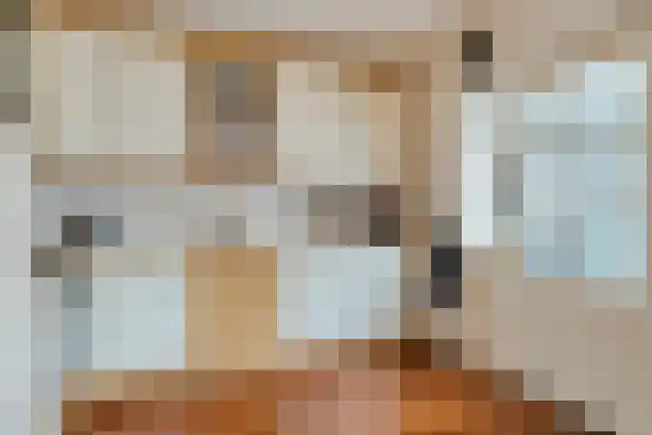 Ermeline 65 Kollum thumbnail 17