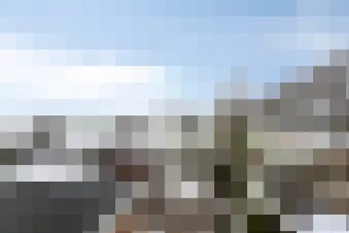 Ermeline 65 Kollum thumbnail 33