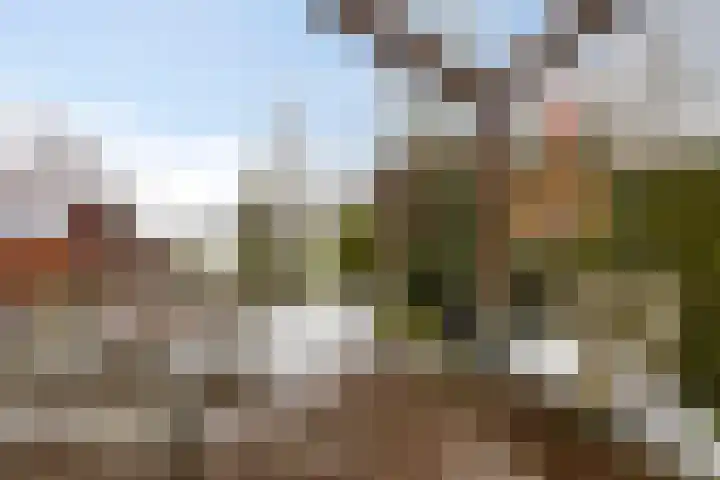 Ermeline 65 Kollum thumbnail 38