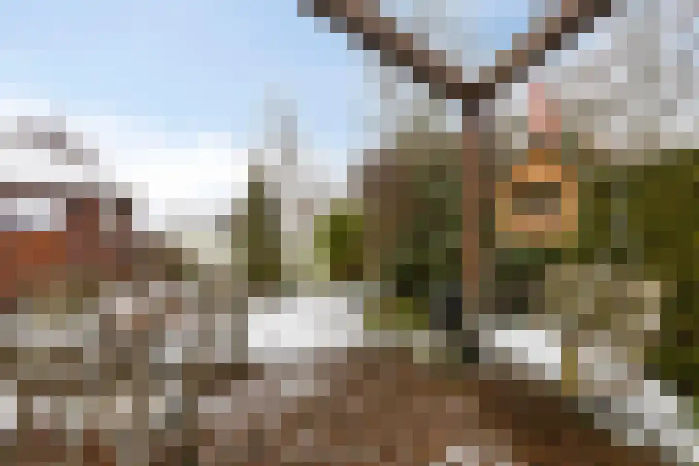Ermeline 65 Kollum thumbnail 38