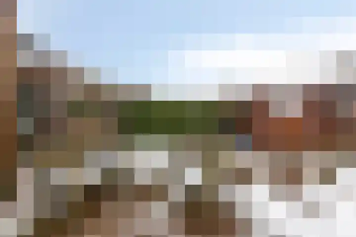 Ermeline 65 Kollum thumbnail 39