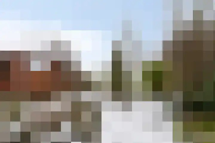 Ermeline 65 Kollum thumbnail 40