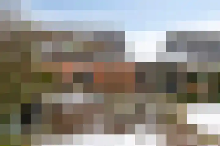 Ermeline 65 Kollum thumbnail 41
