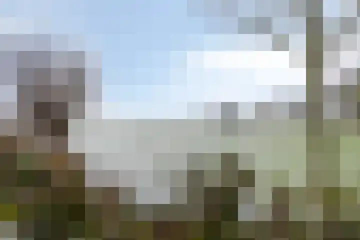 Ermeline 65 Kollum thumbnail 47