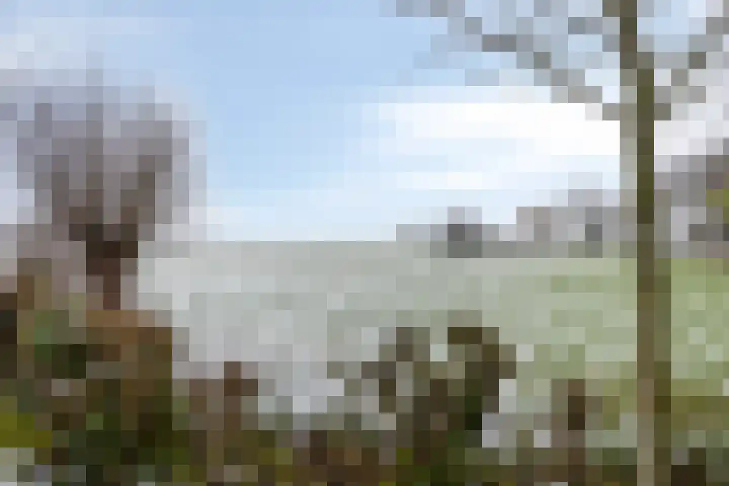 Ermeline 65 Kollum thumbnail 47