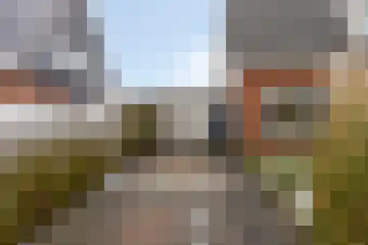 Ermeline 65 Kollum thumbnail 5
