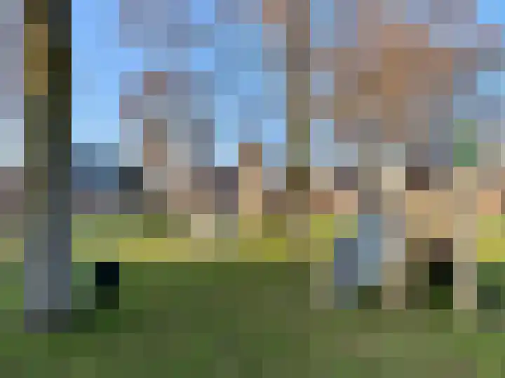 Ermeline 65 Kollum thumbnail 51