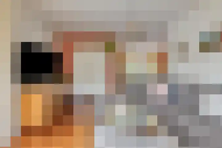 Ermeline 65 Kollum thumbnail 9
