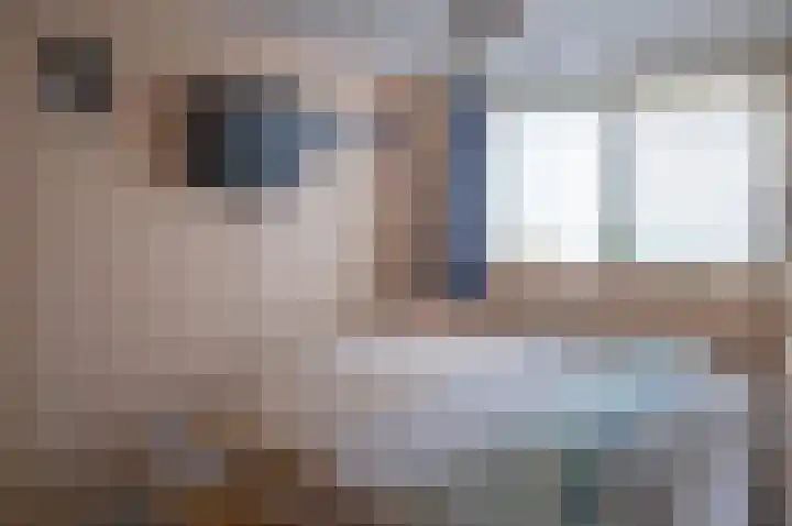 Ermelinkstuk 1 Zelhem thumbnail 21