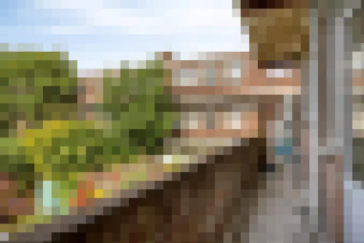 Ermelostraat 123 Den Haag thumbnail 11