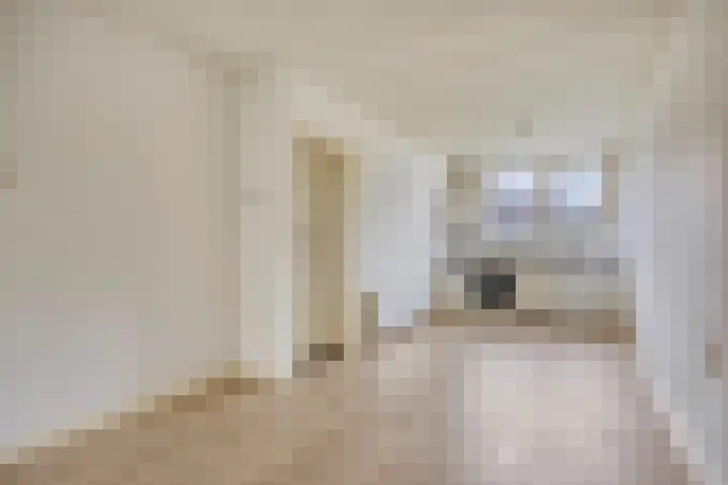 Ermelostraat 123 Den Haag thumbnail 6