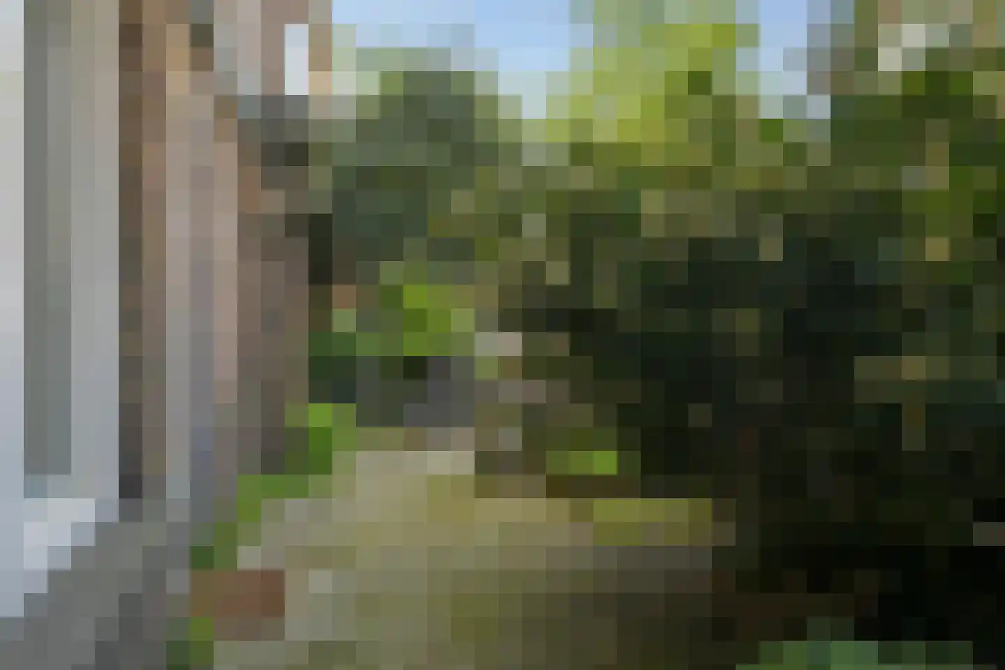 Ermelostraat 178 Den Haag thumbnail 6