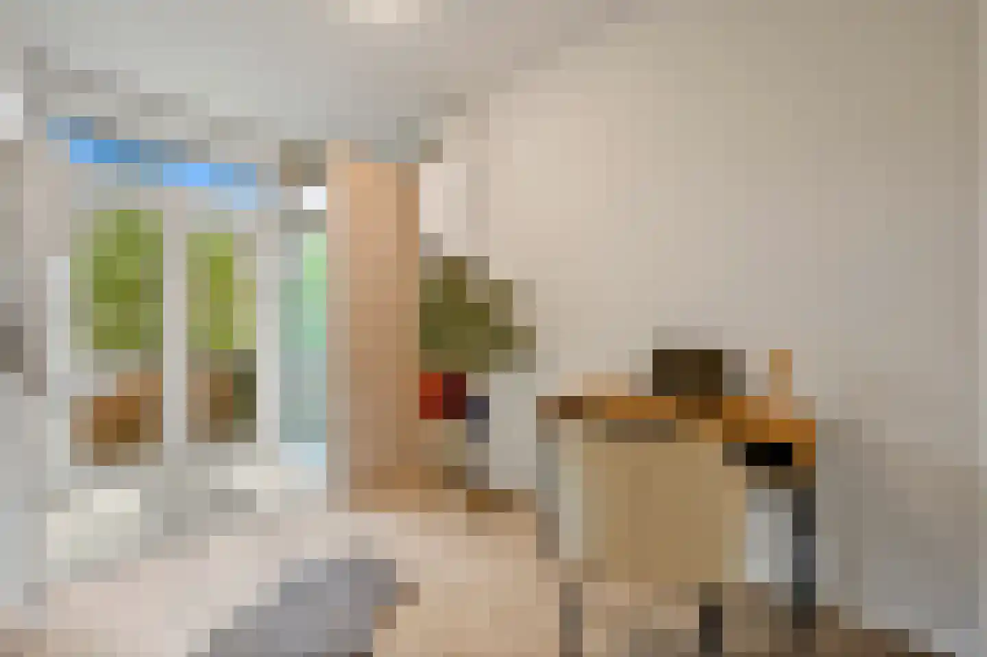 Ermelostraat 28 Den Haag thumbnail 21