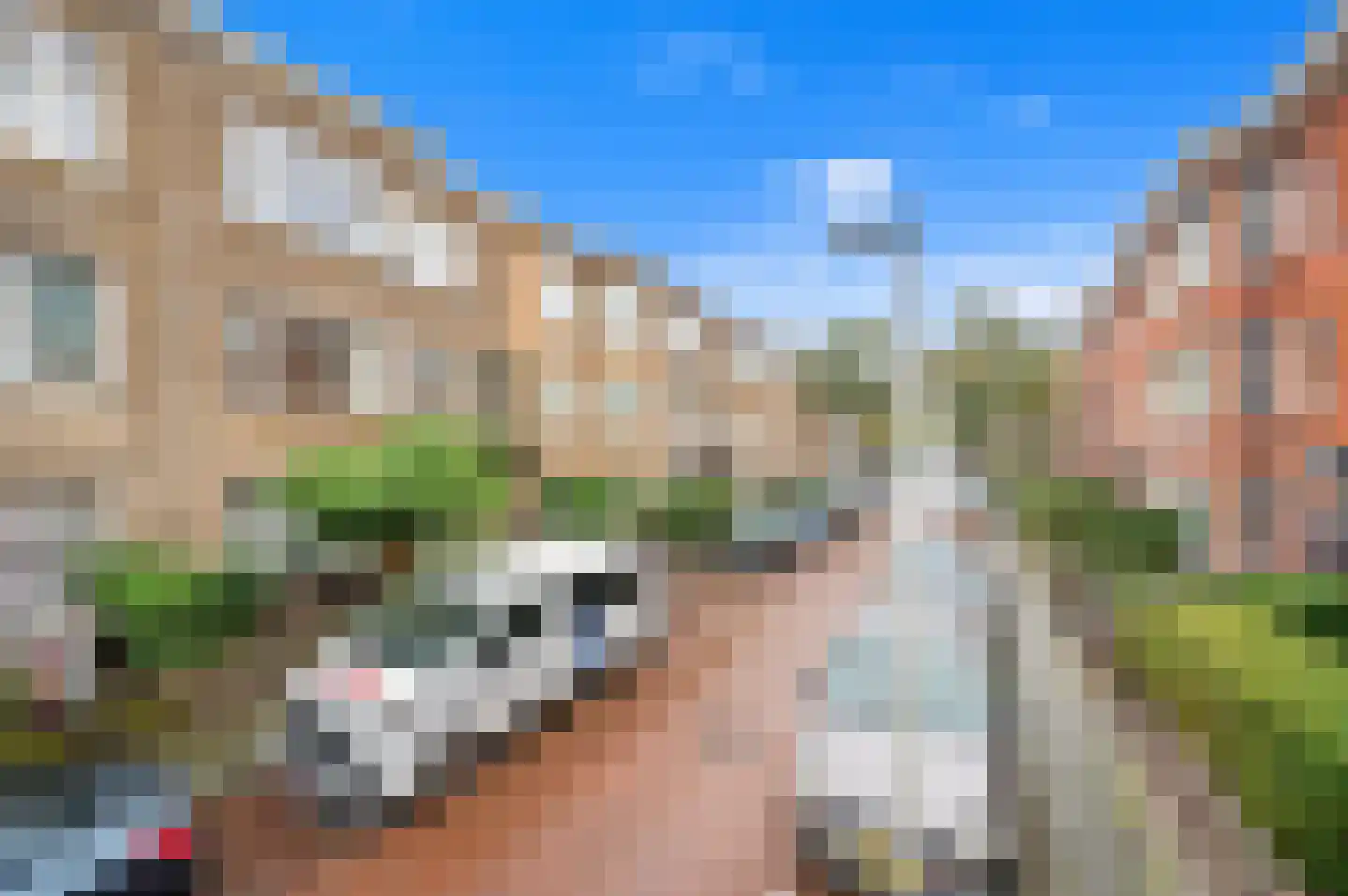 Ermelostraat 28 Den Haag thumbnail 29