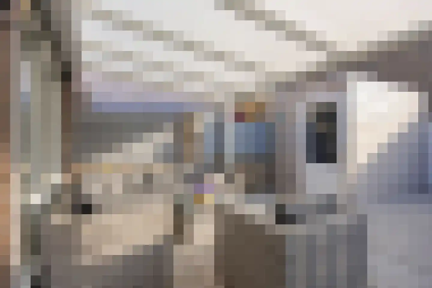 Ermerikstraat 3 Maastricht thumbnail 33