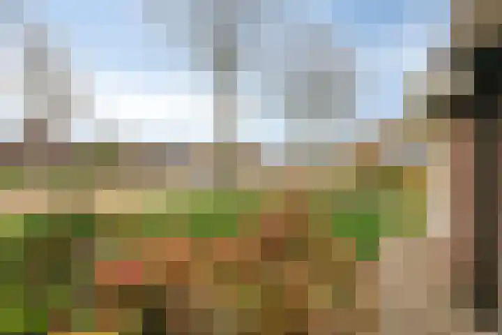 Ermerweg 97 Emmen thumbnail 6
