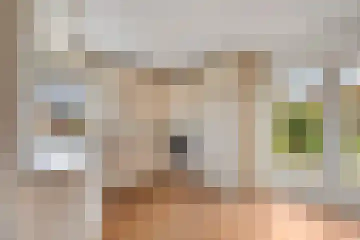 Ermerweg 97 Emmen thumbnail 9